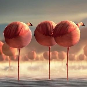 Meet your Posher, Regina